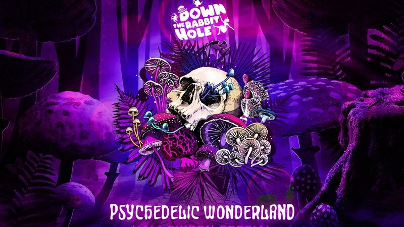 Down the Rabbit Hole – Psychedelic Wonderland