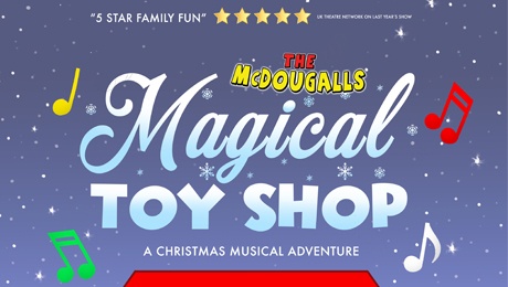McDougalls Magical Toyshop